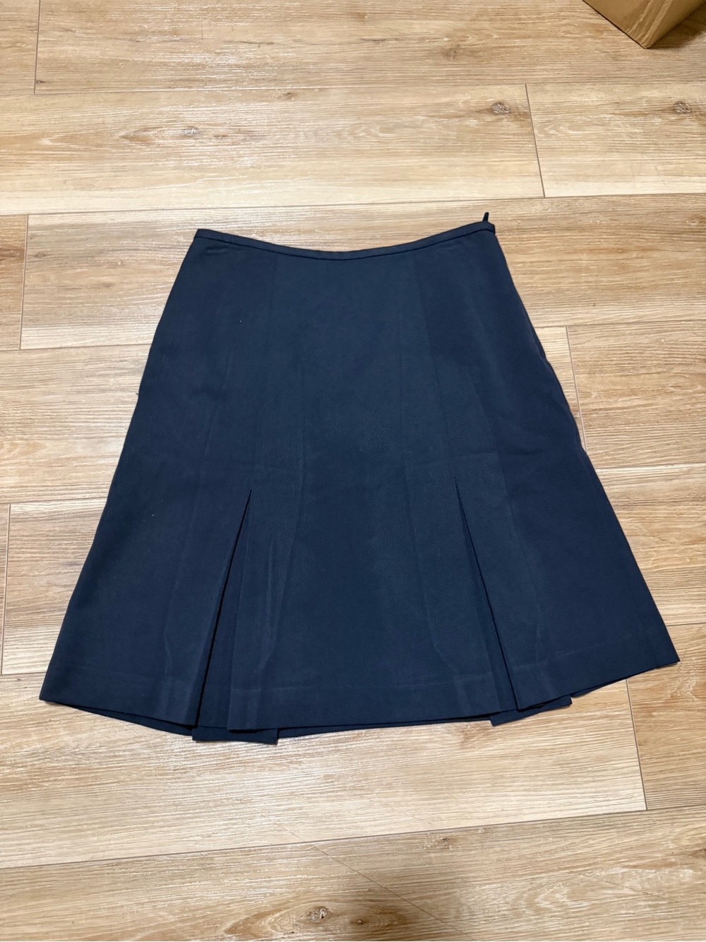 Rena Rowan Black A-Line Pleated Skirt